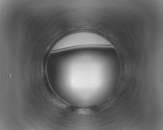 X0000079320508200611170934