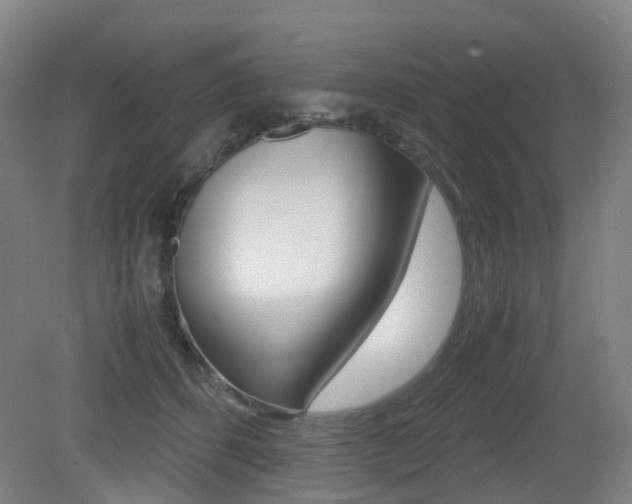 X0000079320512200611170934