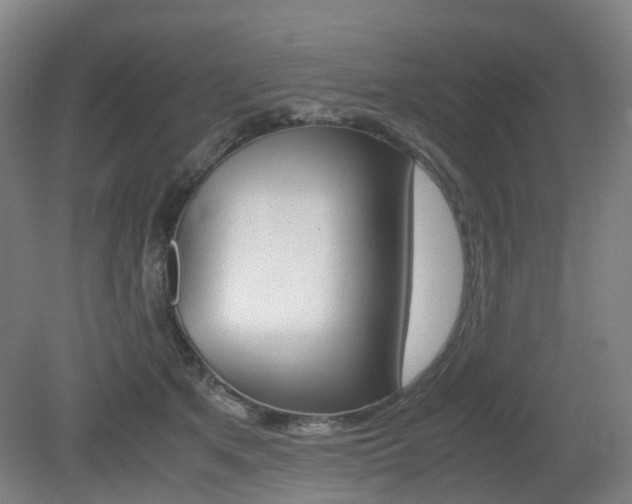 X0000079320513200611170934