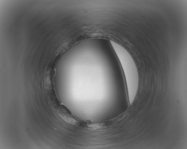 X0000079320516200611170934
