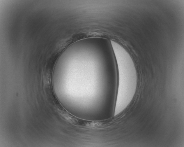 X0000079320517200611170934