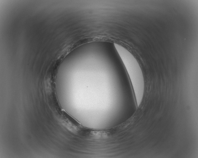 X0000079320520200611170934