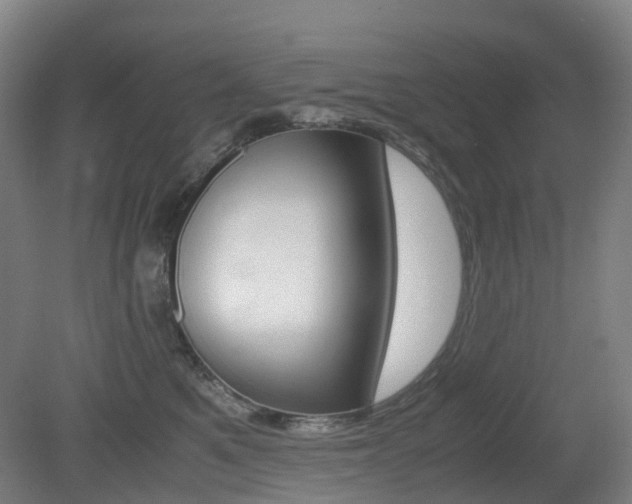 X0000079320521200611170934