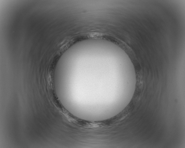 X0000079320523200611170934