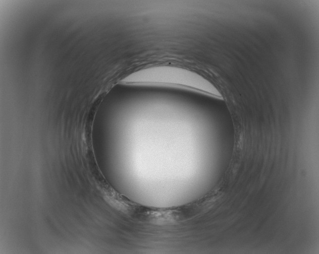 X0000079320524200611170934
