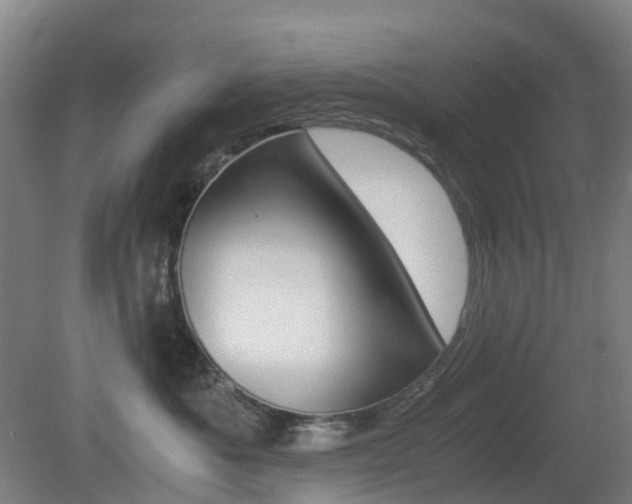 X0000079320525200611170934