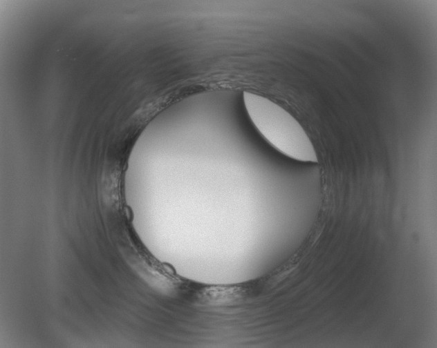 X0000079320526200611170934
