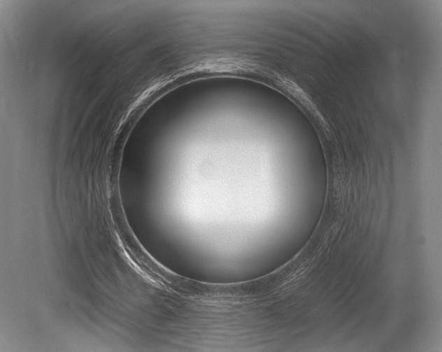 X0000079320530200611170933