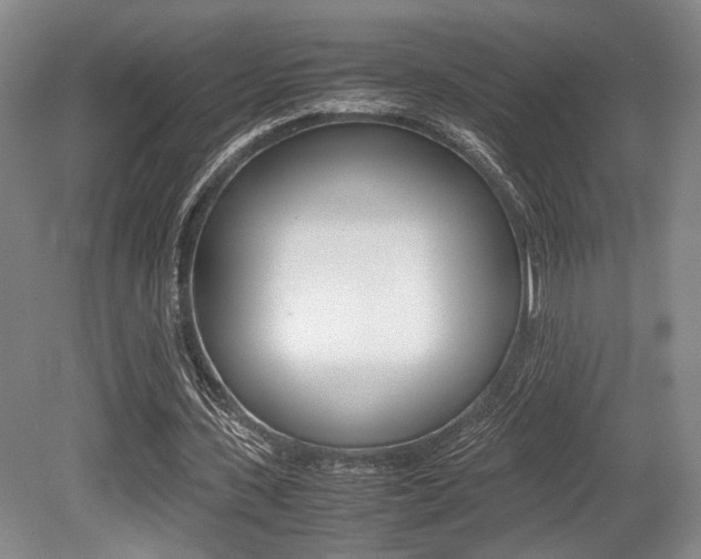 X0000079320531200611170933