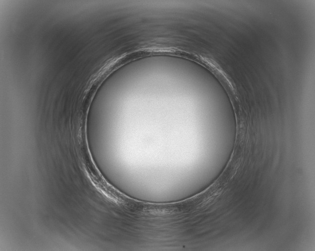 X0000079320533200611170933