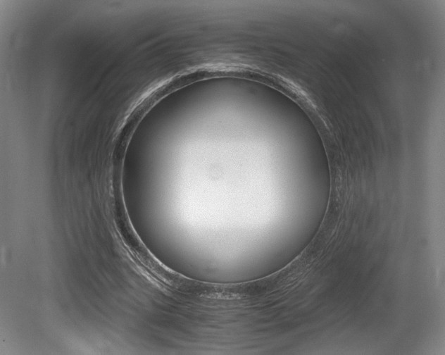 X0000079320535200611170933