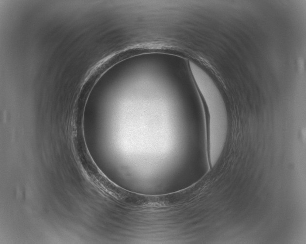 X0000079320536200611170933
