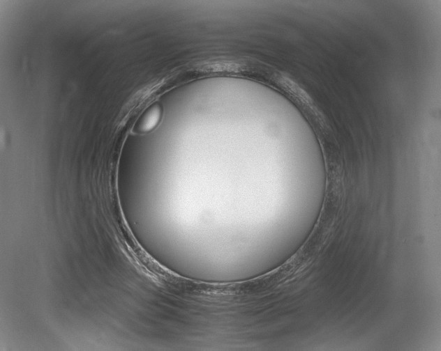 X0000079320537200611170933