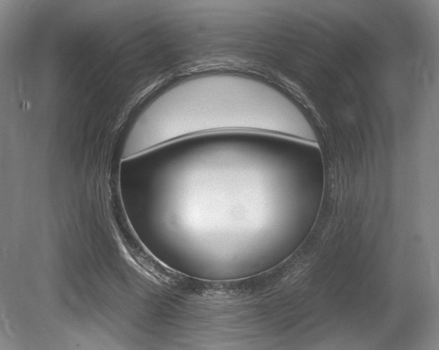 X0000079320538200611170933