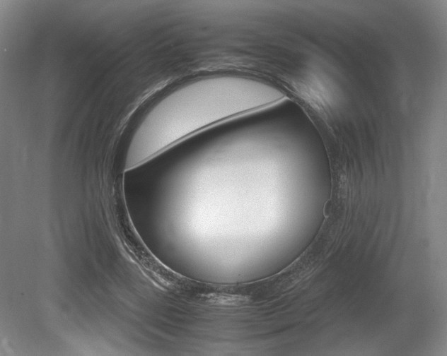 X0000079320539200611170933