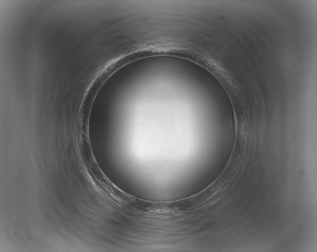 X0000079320540200611170933