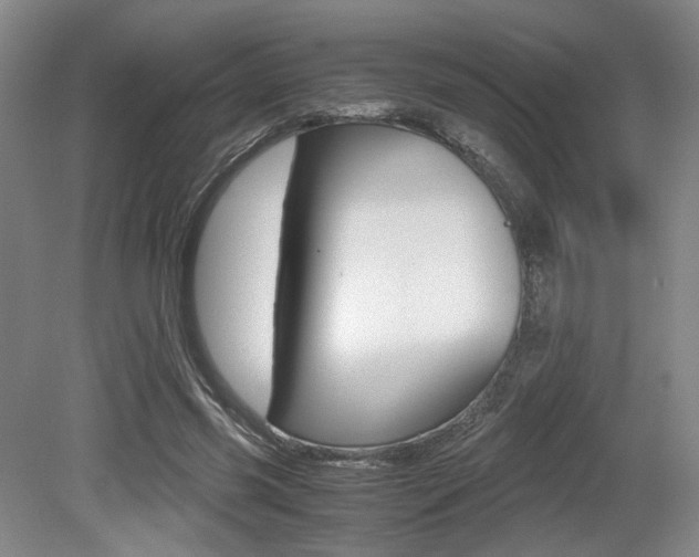X0000079320541200611170933