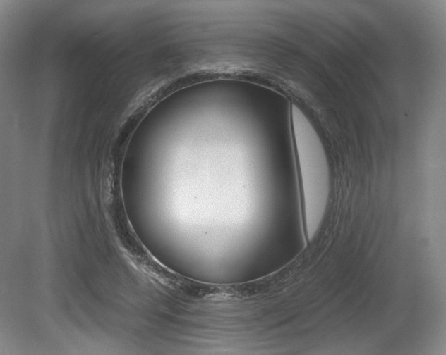 X0000079320544200611170933
