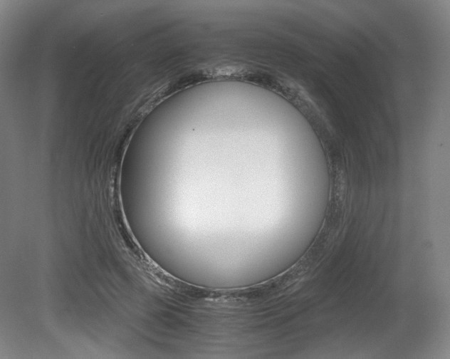 X0000079320545200611170933