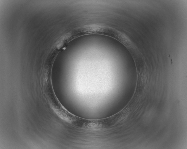 X0000079320546200611170933