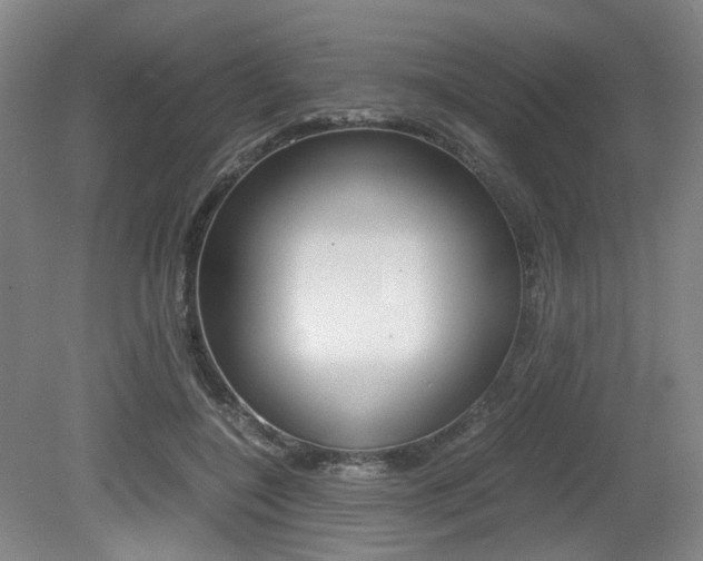 X0000079320548200611170933