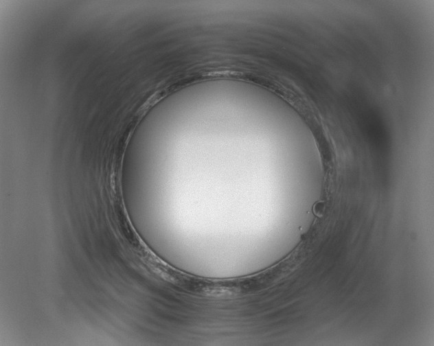 X0000079320549200611170933