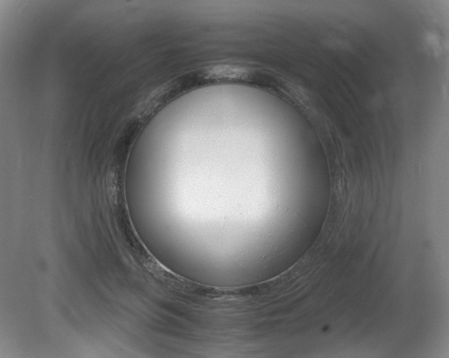 X0000079320551200611170933