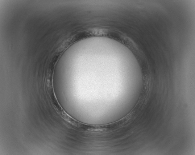 X0000079320553200611170933