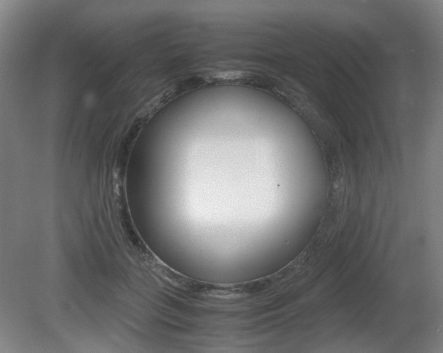 X0000079320555200611170933