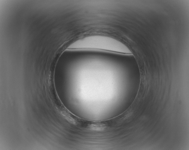 X0000079320556200611170933