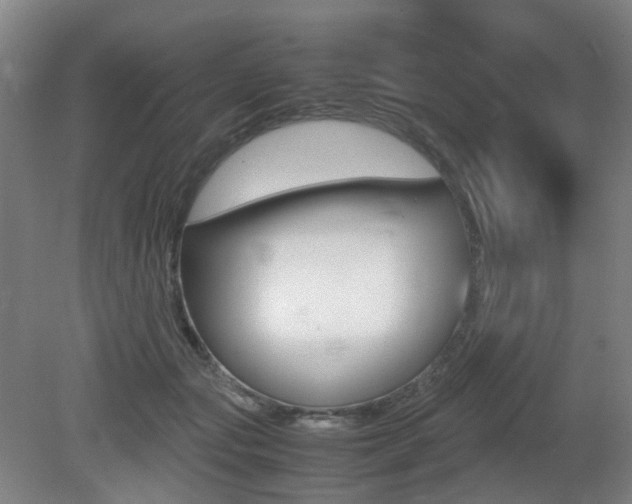 X0000079320557200611170933