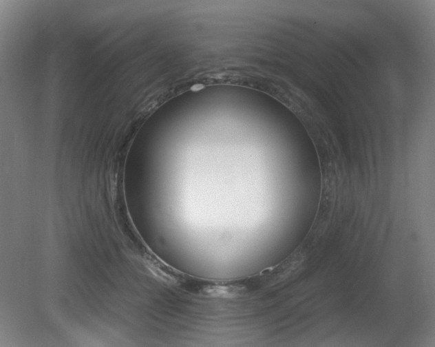 X0000079320558200611170933