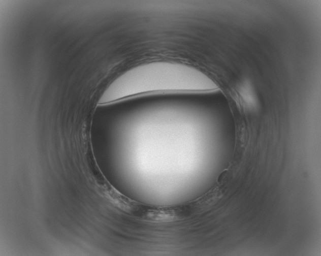 X0000079320559200611170933