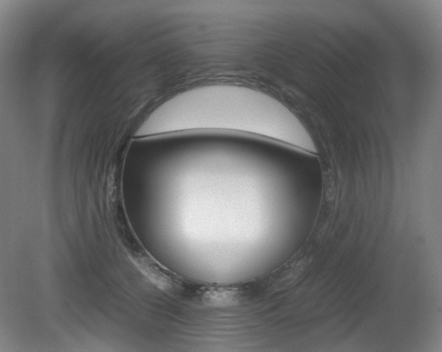 X0000079320560200611170933