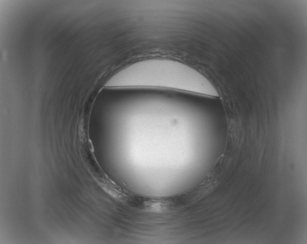 X0000079320564200611170933