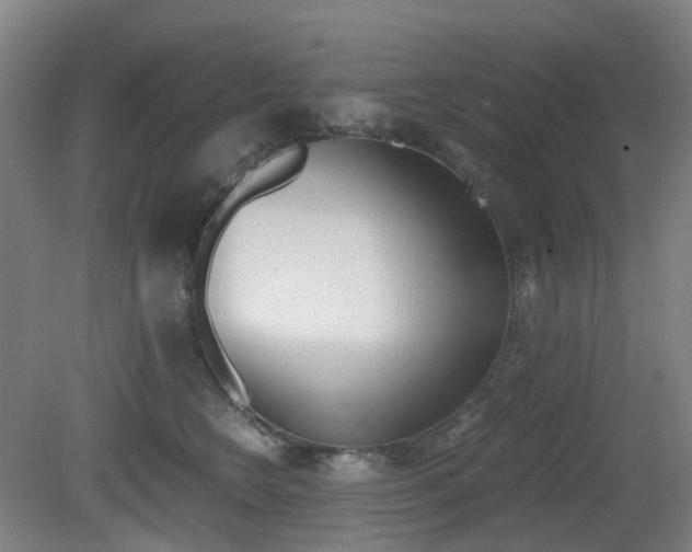 X0000079320566200611170933