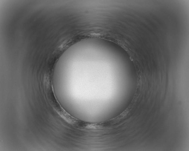 X0000079320568200611170933