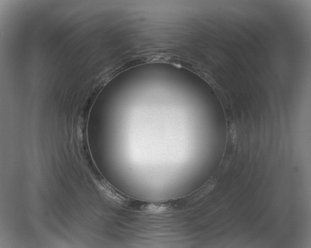 X0000079320570200611170933