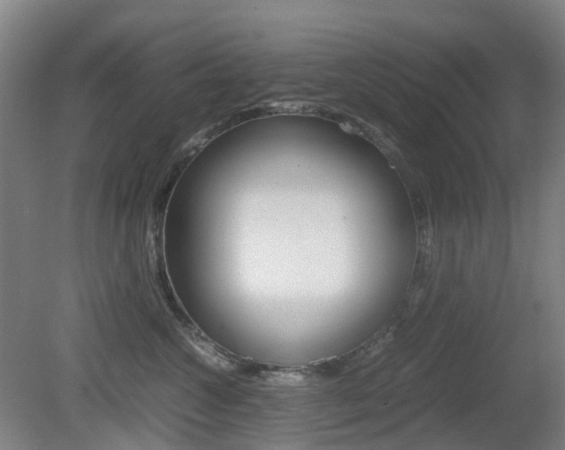X0000079320572200611170933