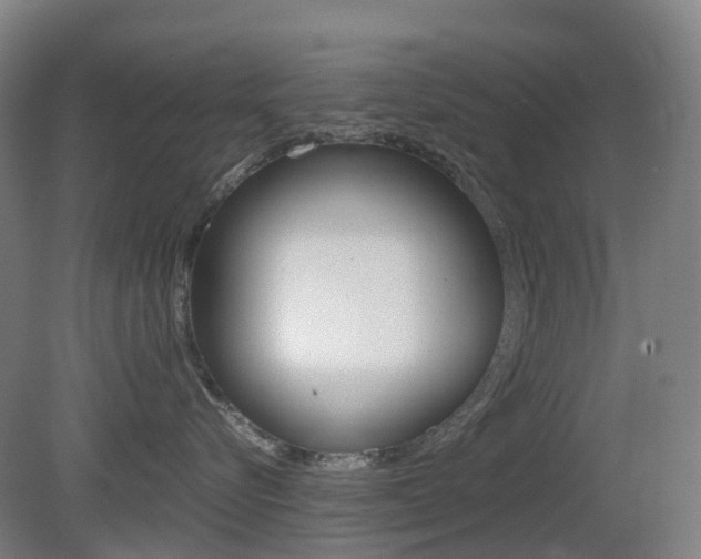 X0000079320576200611170933