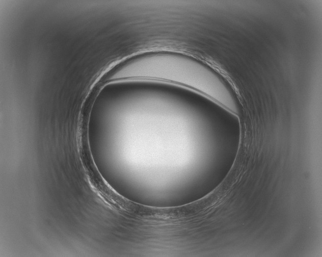 X0000079320580200611170933
