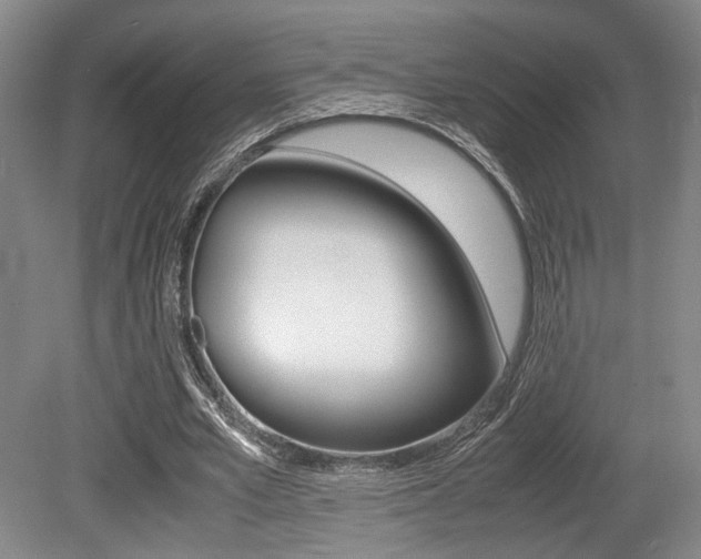 X0000079320581200611170933