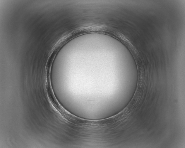 X0000079320582200611170933