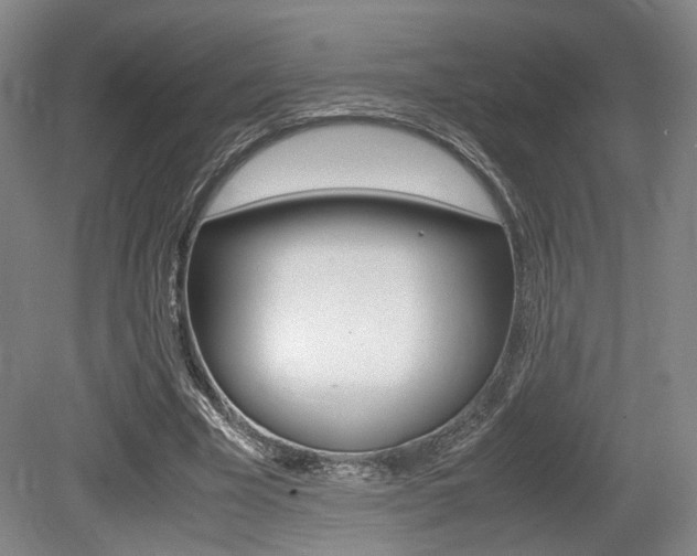 X0000079320585200611170933