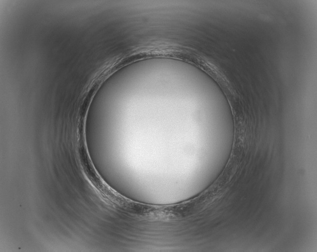 X0000079320586200611170932
