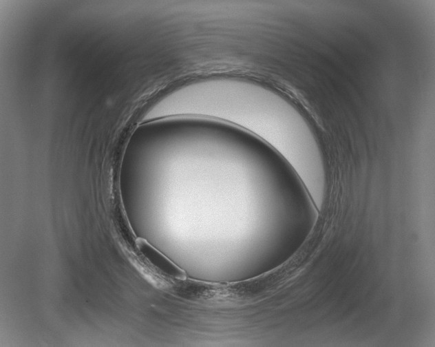 X0000079320589200611170932