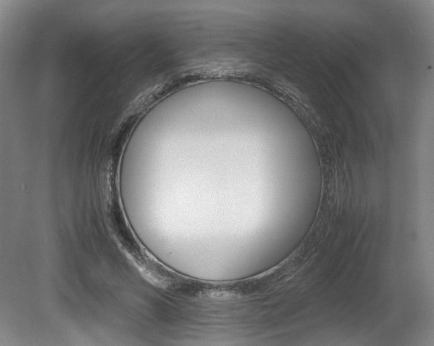 X0000079320590200611170932