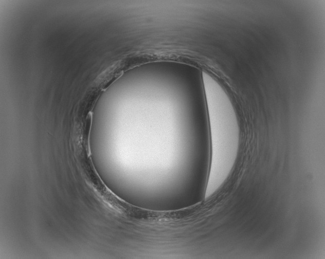 X0000079320593200611170932
