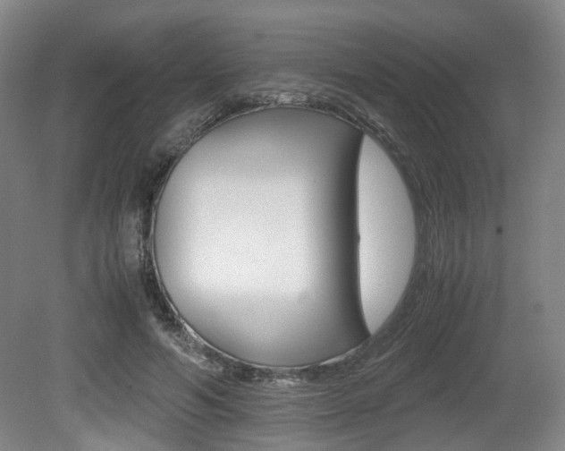 X0000079320594200611170932