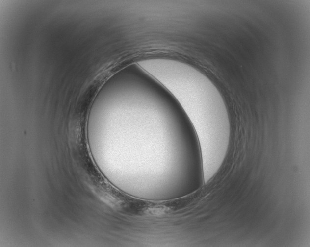 X0000079320595200611170932